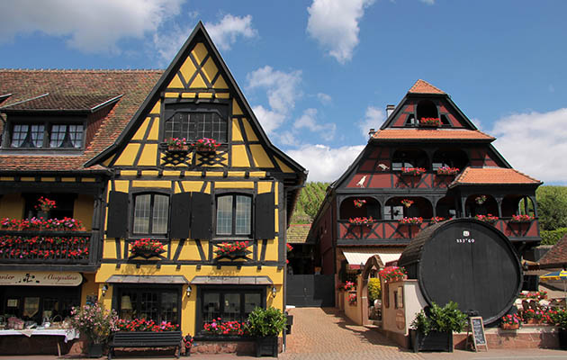 Christmas in the Black Forest - JG Explorer