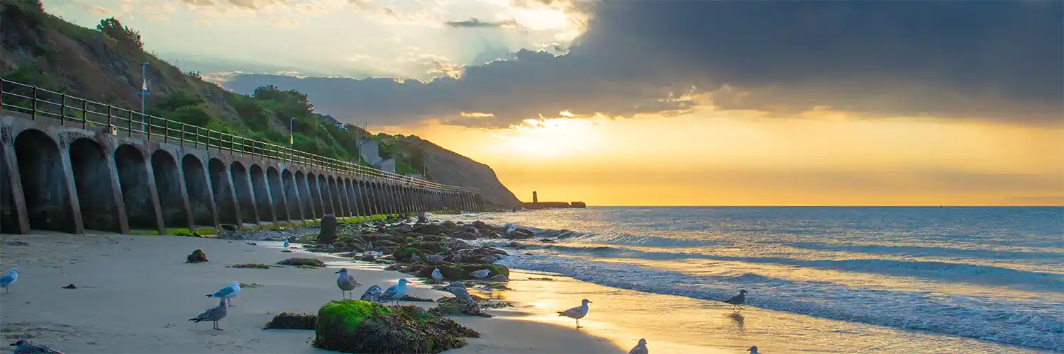 Folkestone & Canterbury – Turkey & Tinsel